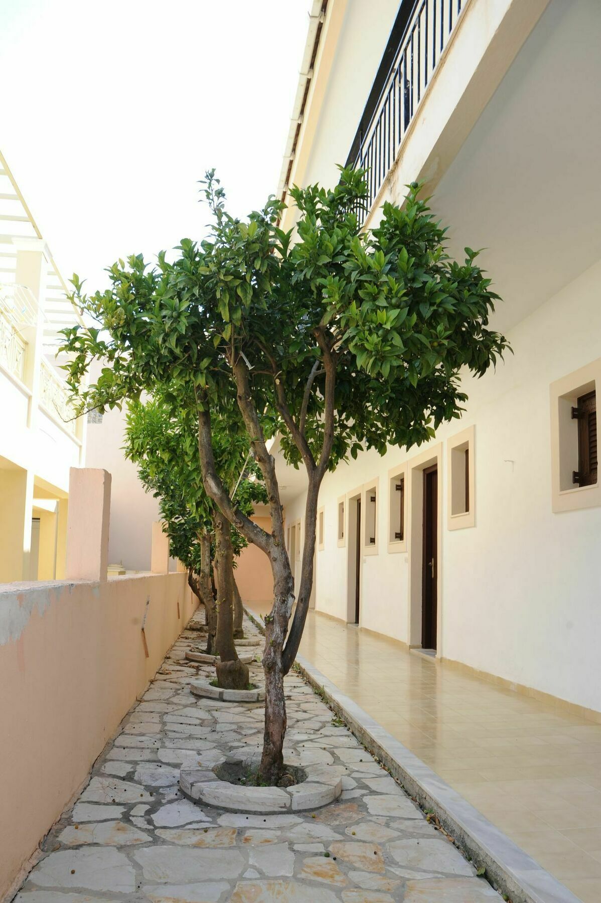 Appartamento Three Seasons Kávos